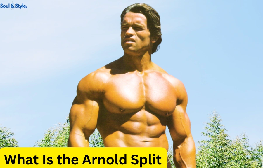Arnold Split