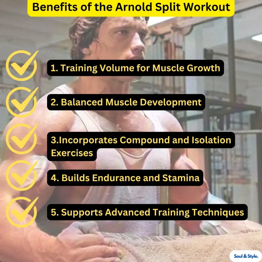 Benefits of the Arnold Split Workout