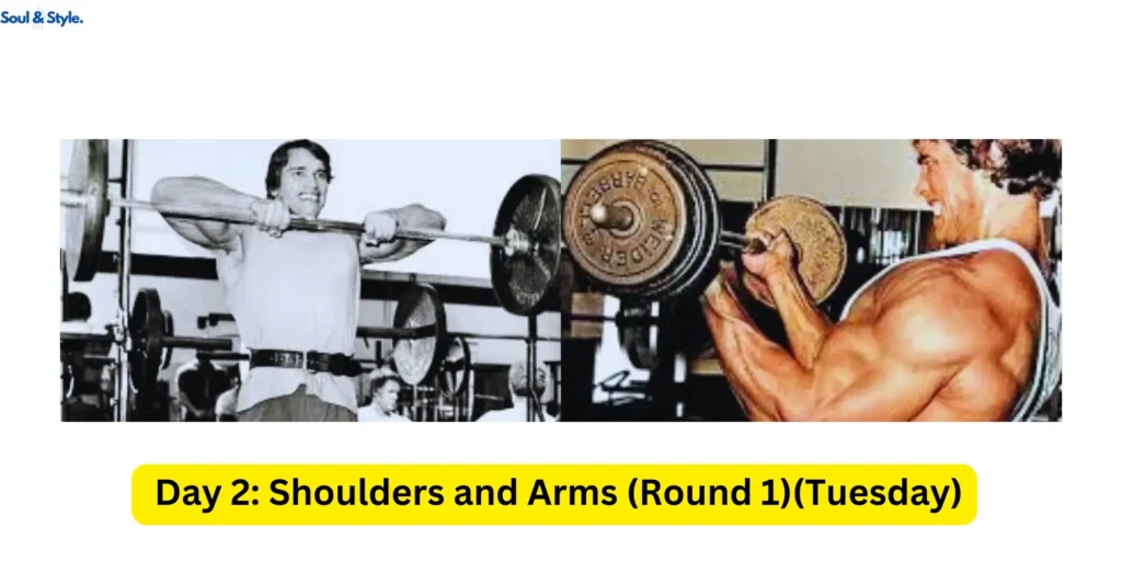 Day 2 Shoulders and Arms
