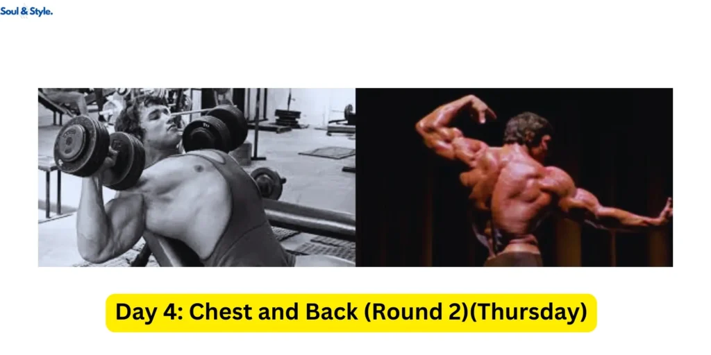 Day 4: Chest and Back